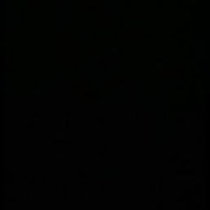 Meet your Posher, Phoebe